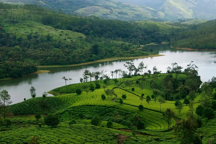 3 Nights Private Premium Tour - Cochin/Munnar/Houseboat/ Cochin