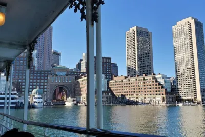 Dog Day of Summer Harbor Cruise in Boston