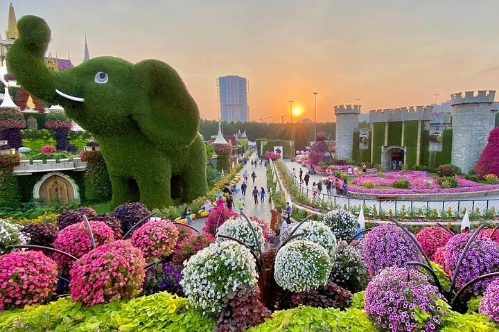 Dubai Miracle Garden Tickets with Private Transfers