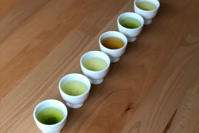 Japanese Tea Tasting in Tokyo: Sencha, Matcha and Gyokuro
