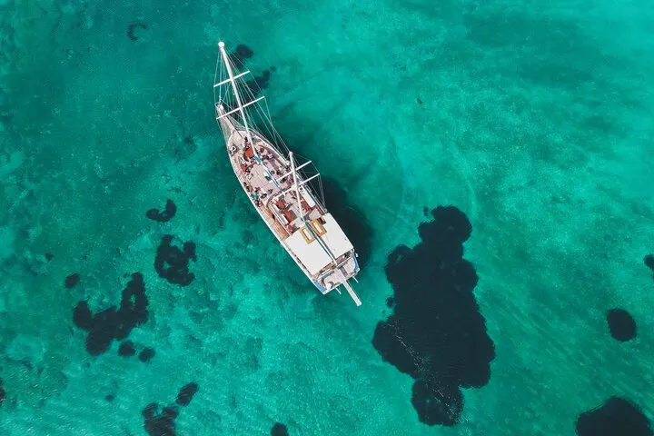Unique sailing experience to Aegina-Metopi and Skala