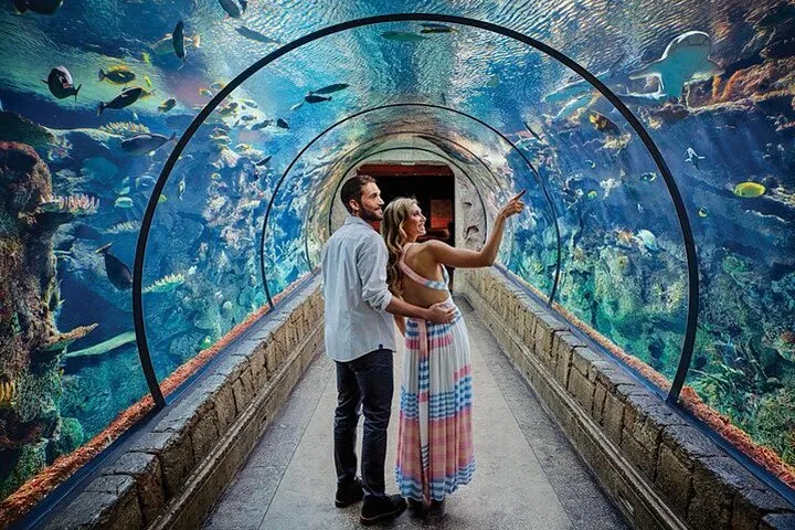 Shark Reef at Mandalay Bay Hotel and Casino