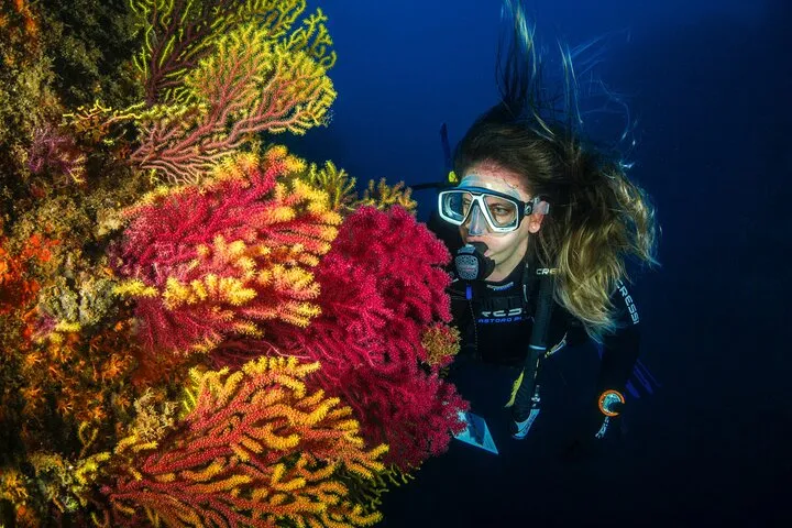 Guided Scuba Diving Adventure in Jumeirah Dubai