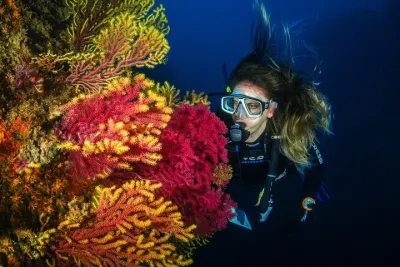 Guided Scuba Diving Adventure in Jumeirah Dubai