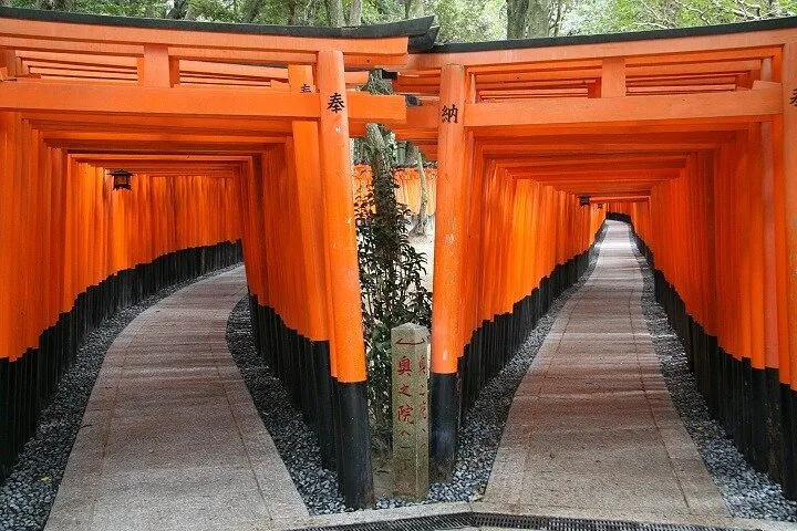 From Tokyo 1-Day Kyoto English-guided Tour by Bullet Train