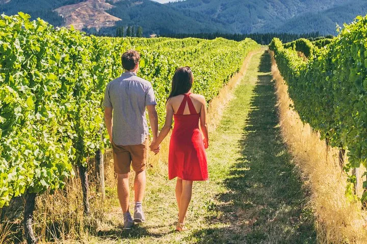 From San Francisco: Napa & Sonoma Valley Wine Tour with Tastings