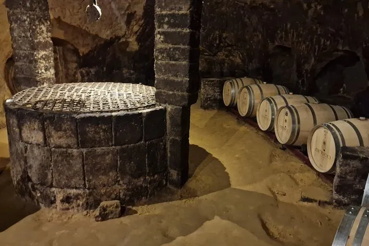 Wine Tasting in Montepulciano with Visit to the Vineyards Private Tour