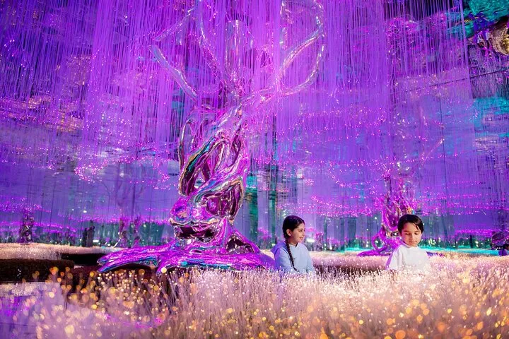 AYA Universe Light and Sound Park in Dubai with Optional Transfer
