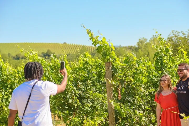 Florence: Private Full-Day Chianti Tour and Winery Lunch Optional