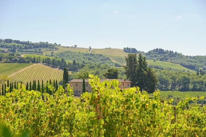 Florence: Private Half-Day Chianti Tour and Wine Tasting Optional