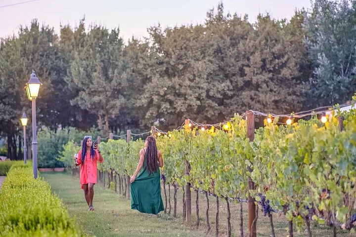 Chianti Delights: Tuscan Tale Of 2 Wineries With Vineyard Dinner