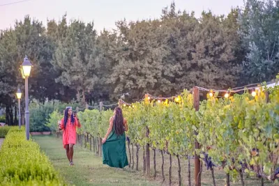 Exclusive Winery Tour with Tasting and Dinner in Chianti vineyard