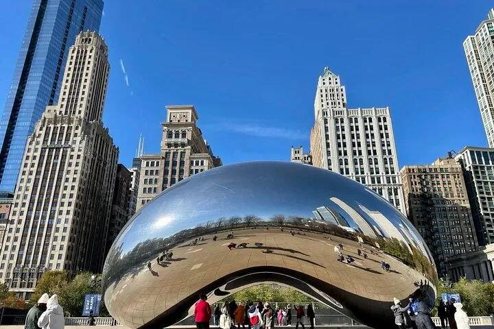 Exclusive Downtown Chicago Guided Walking Tour 12ppl Max