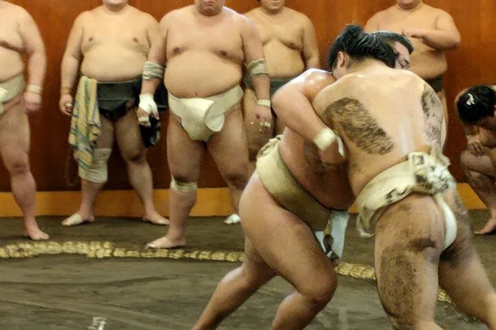 Sumo Training Watching Experience in Tokyo