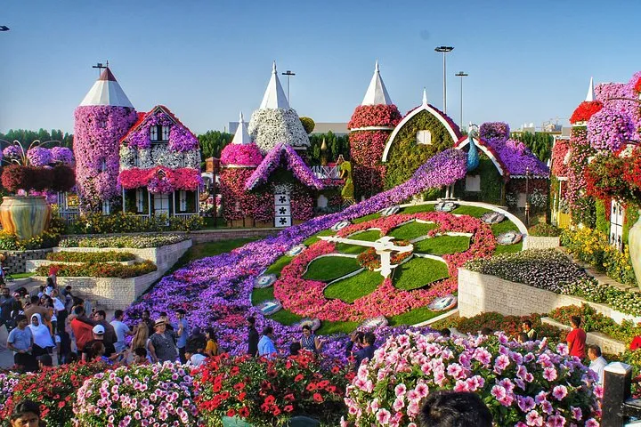 Half-Day Tour with Transfer in Dubai Frame and Miracle Garden