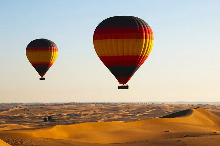 Hot Air Balloon Deluxe Flight, Camel Ride, Falcon Photo