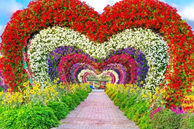 Dubai Miracle Garden Tickets with Round Trip Transfer