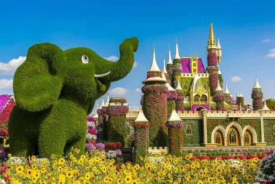 Miracle Garden Ticket Dubai with Shared Transfers