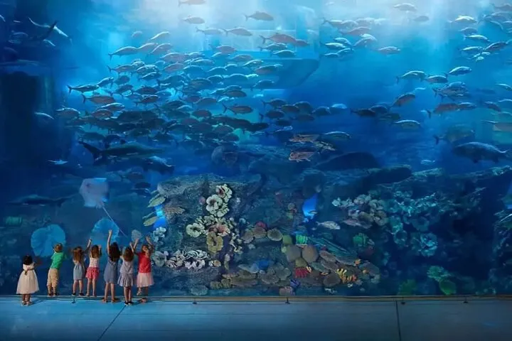 Burj Khalifa at the Top and Underwater Zoo Tour with Transfer