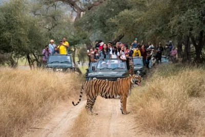 6 Days Golden Triangle Tour with Ranthambore Tiger Safari