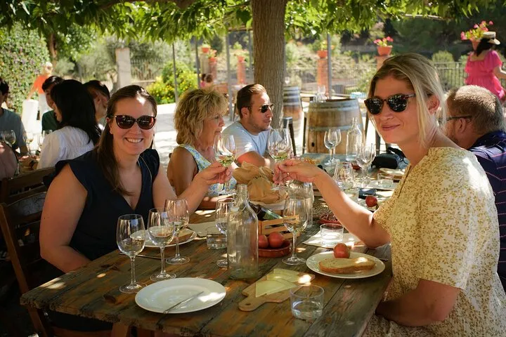 Ebike Tour, Winery, Wine Tasting & Sailing Experience(car option)