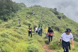 Tea Plantation, Grass Land and Mountain Hiking in Munnar