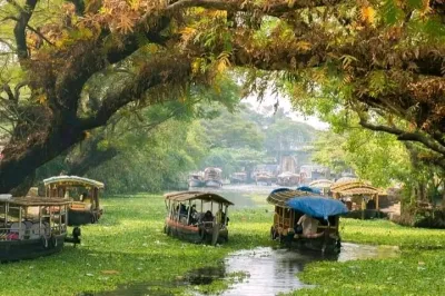 Coconut Lagoons, Paddies, Birds, & Fish Experience Tours