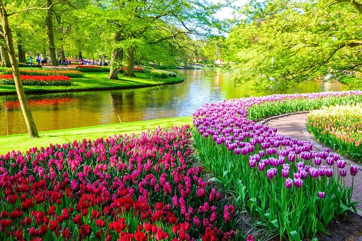 Private Tulip Garden (Keukenhof) + Dutch highlights 4 - 5 persons