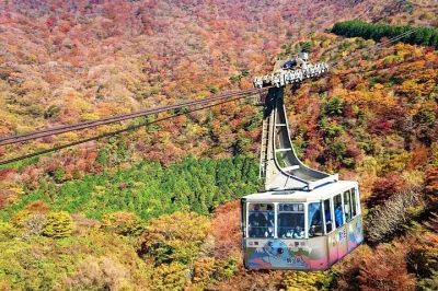 From Tokyo to Hakone: Train Tickets and Hakone Free Pass