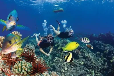 Experience Maalaea Harbor Sailing Snorkeling Adventure
