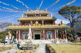Guided Tour to Palampur-Monasteries, Temple & Tea Gardens visit