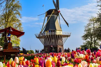 Private Tour Keukenhof Gardens + Tulperij Tulip Experience