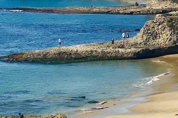 Private Large Group Laguna Beach & Newport beach California.