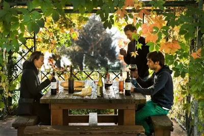Organic Winery Tour and Tasting in Tuscany