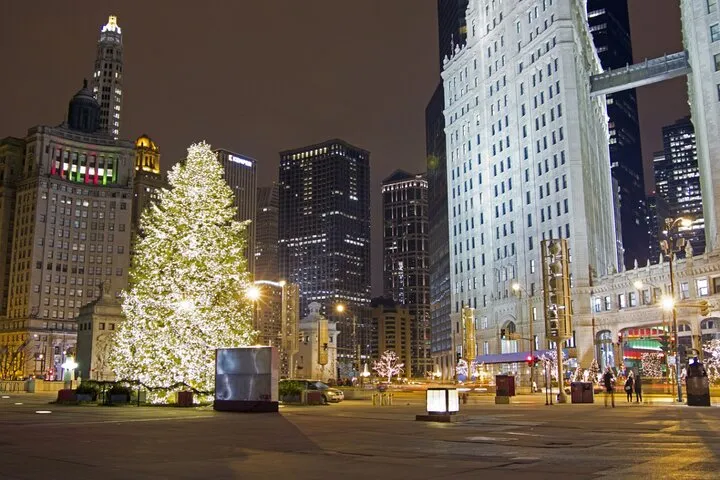 Private Christmas Walking Tour in Chicago with Christkindlmarket