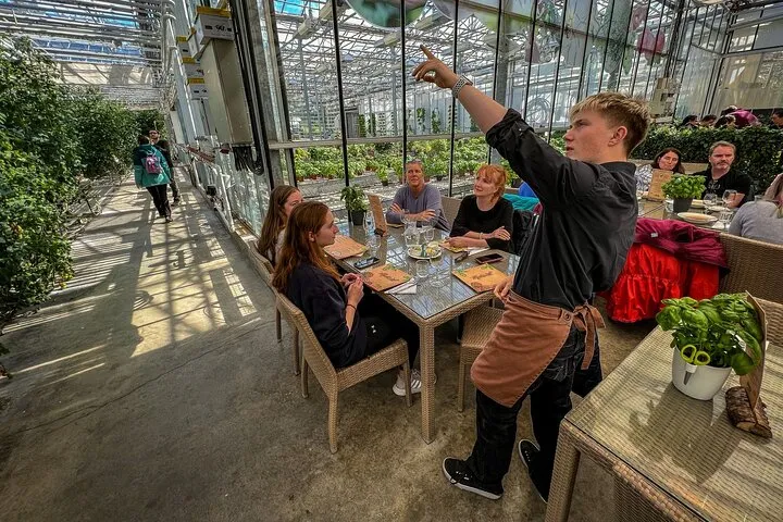 Golden Circle & Lunch at Fridheimar Tomato Farm Small-Group Tour