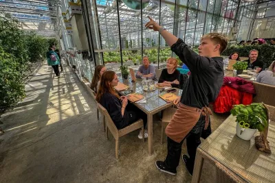 Golden Circle & Lunch at Fridheimar Tomato Farm Small-Group Tour