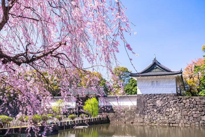 Tokyo Private Tour: Imperial Palace East Gardens, Edo Castle Site