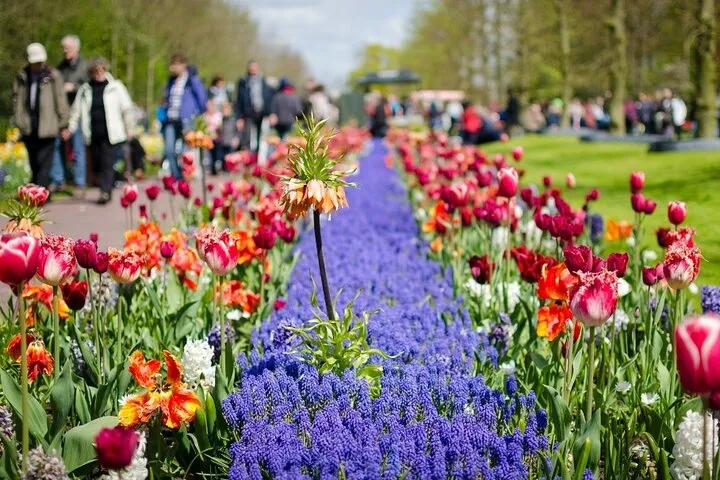 Keukenhof Gardens Day Trip from Amsterdam - Private & Custom Tour