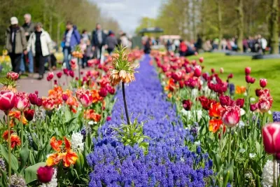 Keukenhof Gardens Day Trip from Amsterdam - Private & Custom Tour