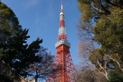 Tokyo: Top 3 Hidden Tokyo Tower Photo Spots and Local Shrine