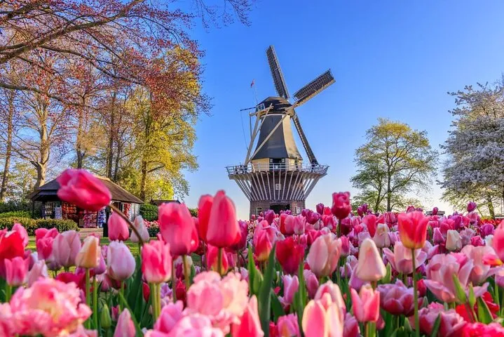 Amsterdam: Keukenhof, Zaanse Schans Windmills, Cheese Guided Tour