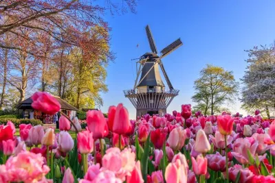 Amsterdam: Keukenhof, Zaanse Schans Windmills, Cheese Guided Tour