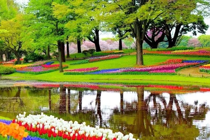 Private Sightseeing Tour to Keukenhof & Giethoorn