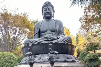 Private Walking tour, Tokyo Great Buddha, Botanical Garden, etc.