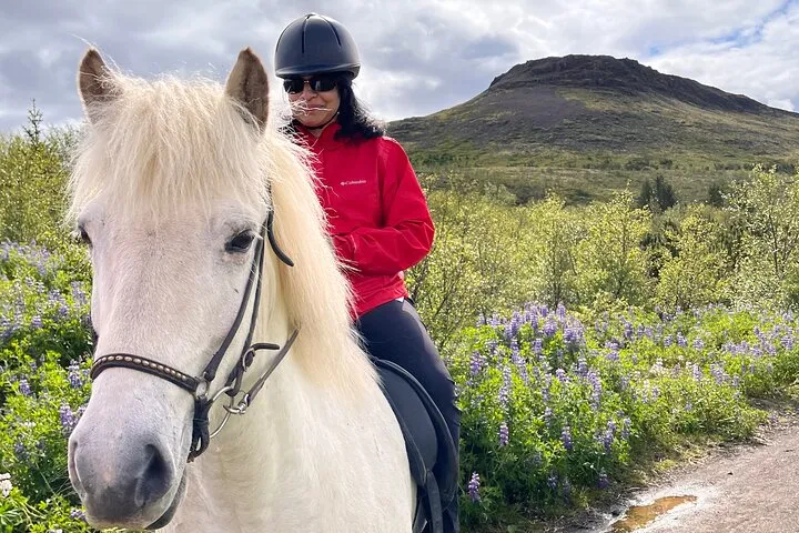 2 hours Private Horse Riding to Lake Hafravatn, Reykjavík - Mos
