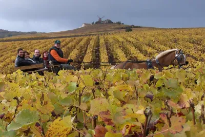 Full Day All-inclusive Tour in Champagne from Paris in a Minivan