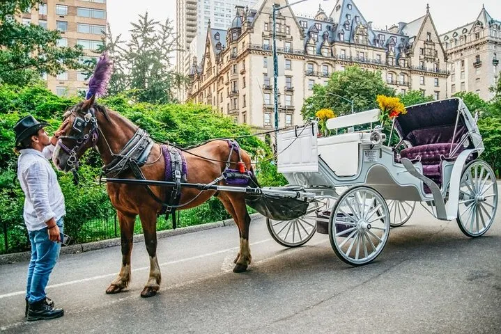 NYC Central Park & Rockefeller Center Private Horse Carriage Tour