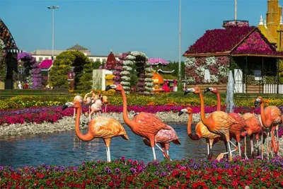 Skip the Line Dubai Miracle Garden Tickets