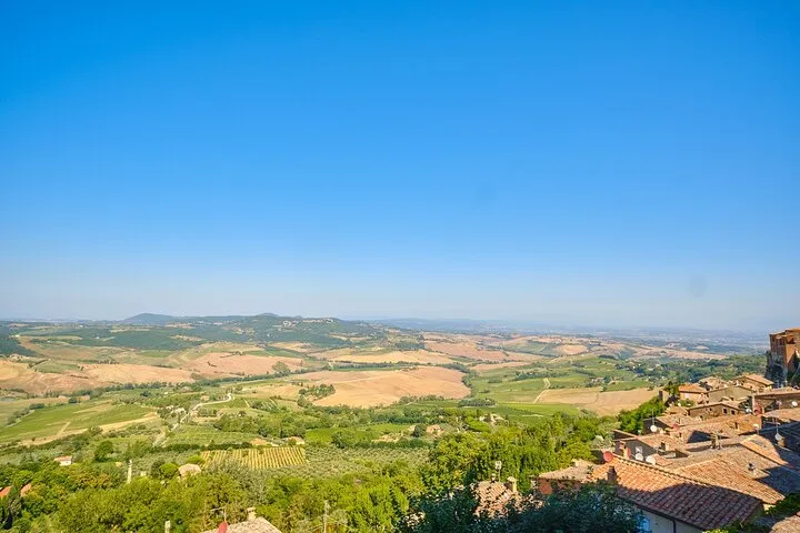 Val d'Orcia private tour: Montalcino, Pienza and Montepulciano